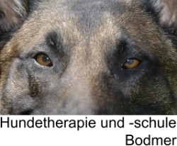 Hundetherapie und -schule Bodmer