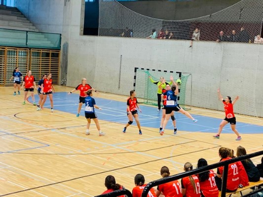 Einlaufen, Handball, Sieg!